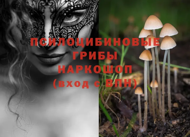 Галлюциногенные грибы Magic Shrooms  даркнет сайт  Сальск 